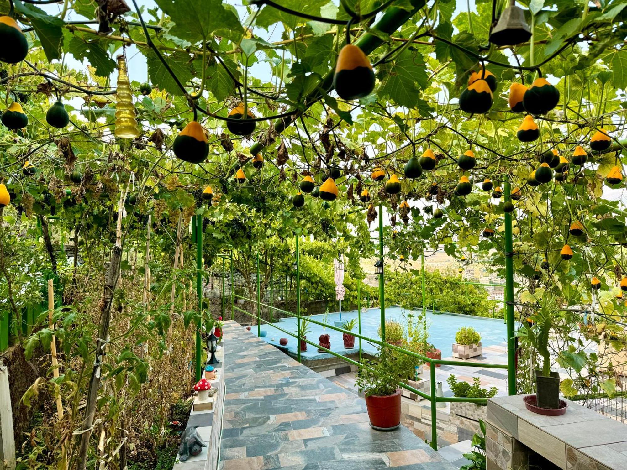Panoramic View Guest House Gjirokastër Exterior foto
